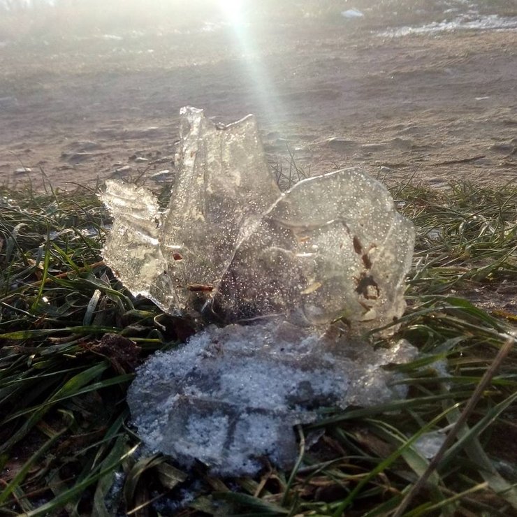 BeRUFung_Naturbild.jpeg