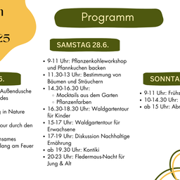Programm Festival 2025