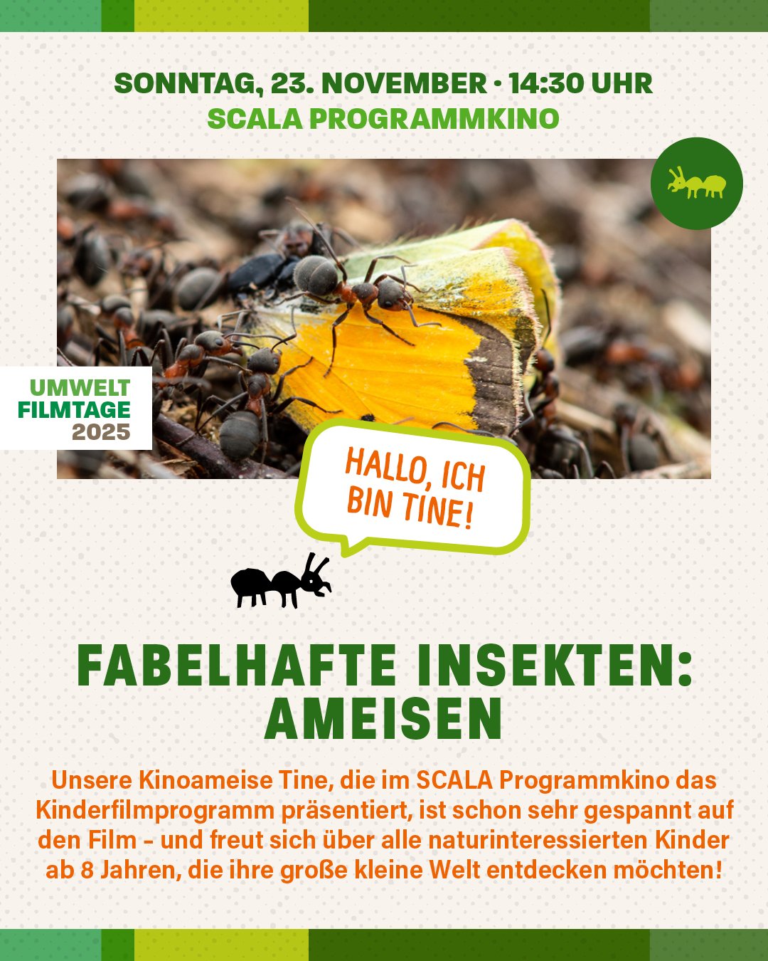 UFT 2025 1080x1350 7 Ameisen 2